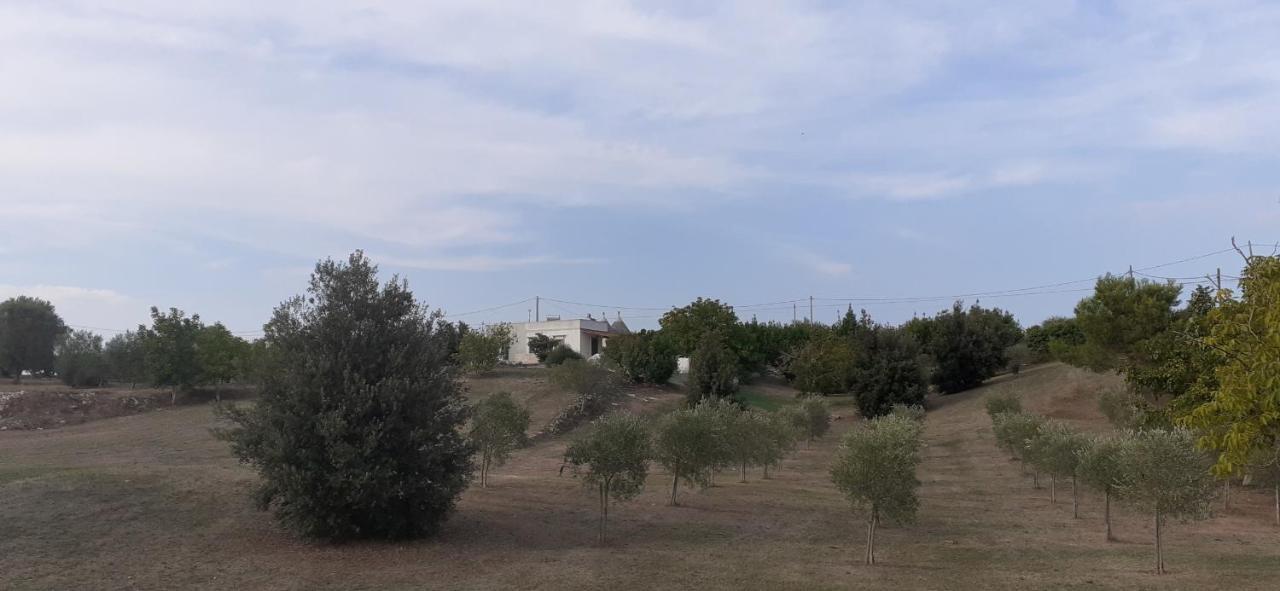 Villa Trullo Genista à Martina Franca Extérieur photo